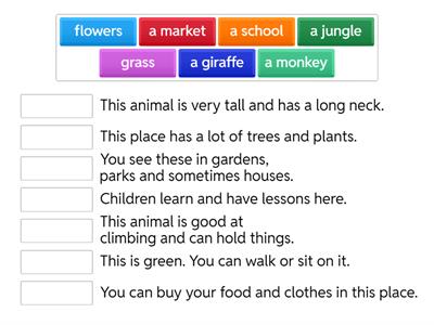 MOVERS READING / WRITING 01