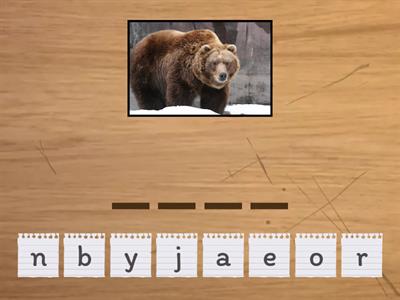  Super Minds 2 Unit 2 The zoo