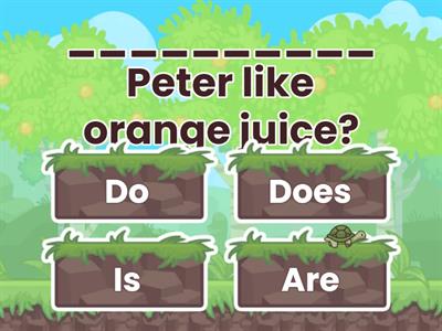 "to be" / do, does questions