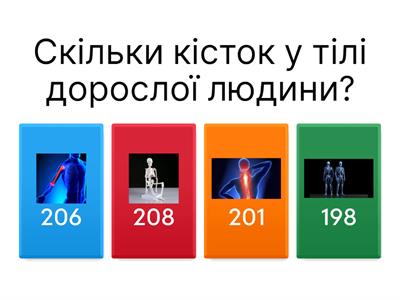 Анатомія людини