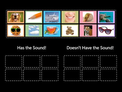 Initial Sound Sort /t/