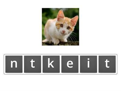 Istation Spelling Vol 4