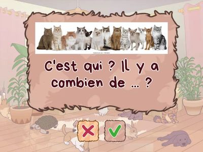 ZigZag 1 U2 Test Réviser les chiffres et les animaux