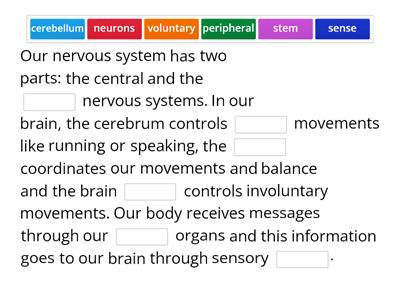 Nervous System