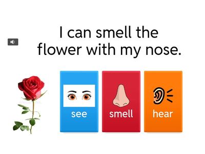 Five senses (listening activity)