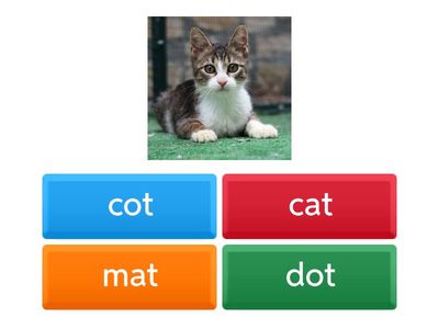 K Skills 3: Assessment