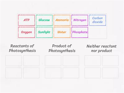 Photosynthesis Formula