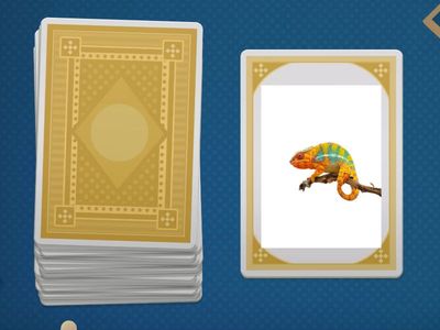 動物 隨機抽卡 動作