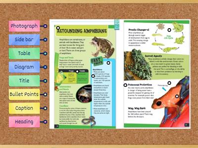 Text Feature Matching 