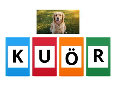 Koduloomad ja kodulinnud