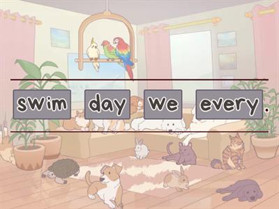  Present Simple ( word order) +