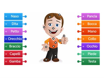 Le parti del corpo