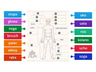 części ciała z: polski na dobry start 