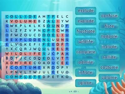 Vowel Consonant E Wilson 4.2 Word Search