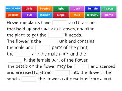 KS4 Pollination