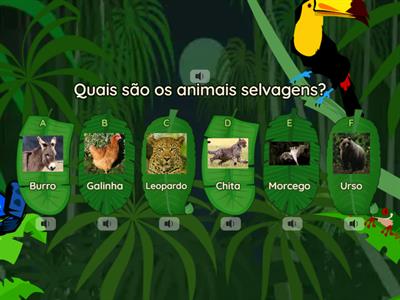 Animais Selvagens