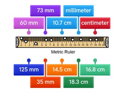 Metric Ruler Bellwork