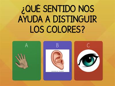 JUEGO DE CIENCIAS LOS SENTIDOS.