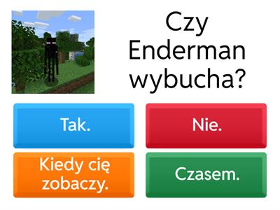 Minecraft Quiz