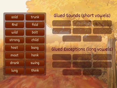 Glued Sounds or Glued Exceptions?