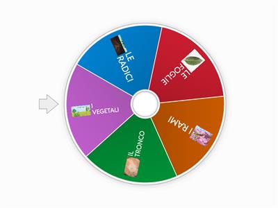 LE PARTI DI UNA PIANTA