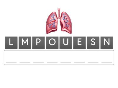 SISTEMA RESPIRATORIO