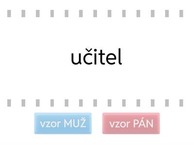 vzor muž/pán 