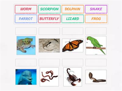 ANIMALS UNIT 1