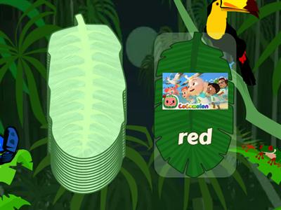 Cocomelon First Grade Sight Words