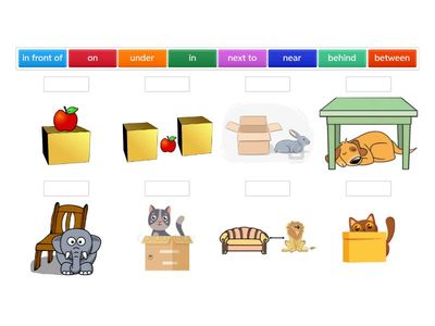 Cambridge Primary Home 2B Prepositions 