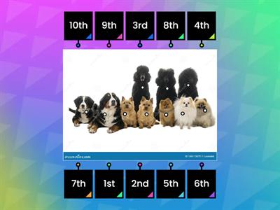 Ordinal Numbers 1st-10th