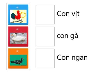 Hãy nối hình ảnh các con vật với tên gọi của nó?