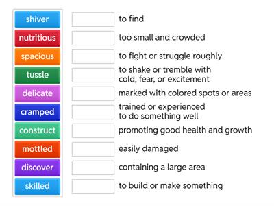 IEW Adventures in Writing Vocab Quiz 2