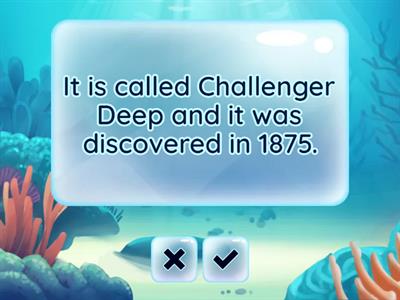 ОГЭ УЧ1 The oceans