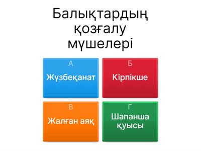 Израильдік секс порно