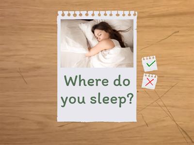 Where, When, Why? What?