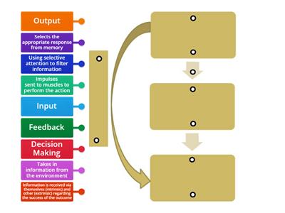 Information Processing