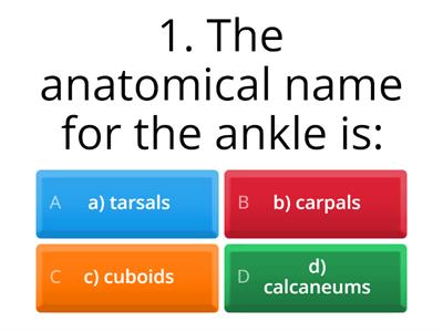 Pedicure exam 