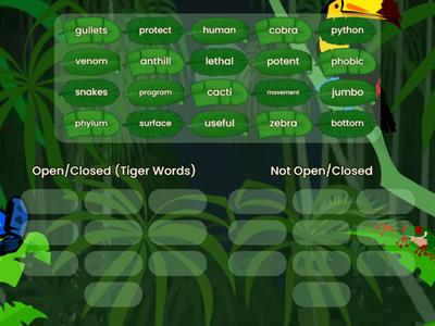 12.3 Day 2 Python and Cobra Word Sort