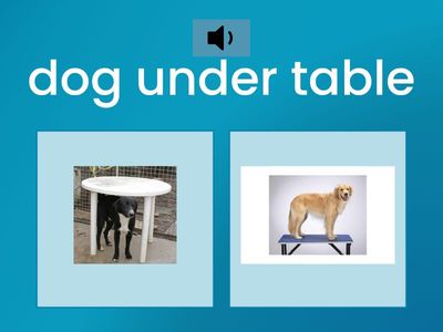 Dogs In/On/Under (Receptive)