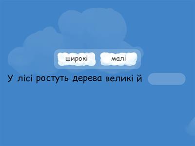«Закінчи речення». ЯДС. 2 клас 