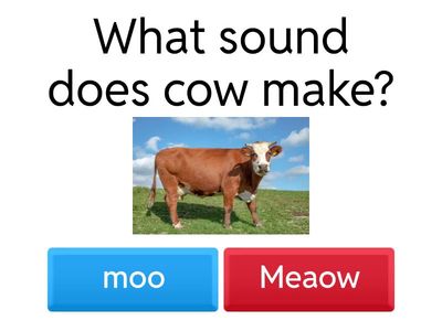Match the animal to its sound