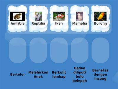  Ciri Khusus Haiwan Vertebrata