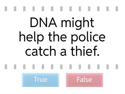 Modals of Future Possibility