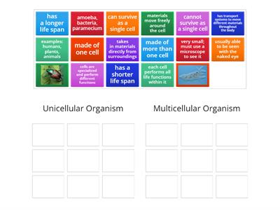 Unicellular vs. Multicellular Organisms (5.L.1.1)