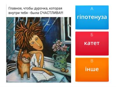 теорема Піфагора