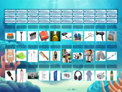 Packing Intermediate plus  EF 2A