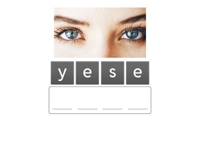  Parts of the body 1 KB 1 U 6 anagram