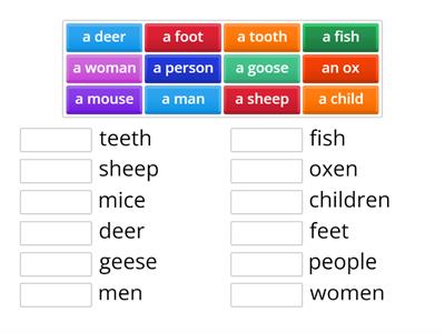 Irregular Plurals