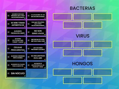 MICROORGANISMOS